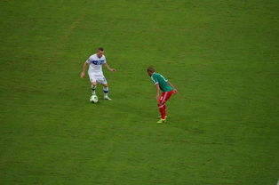 开云下载-热刺战平利物浦，贝尔扑点救主德甲