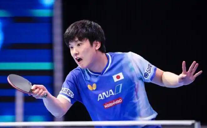 开云体育入口-葡萄牙队轻取德国队，张本智和点燃赛场的简单介绍