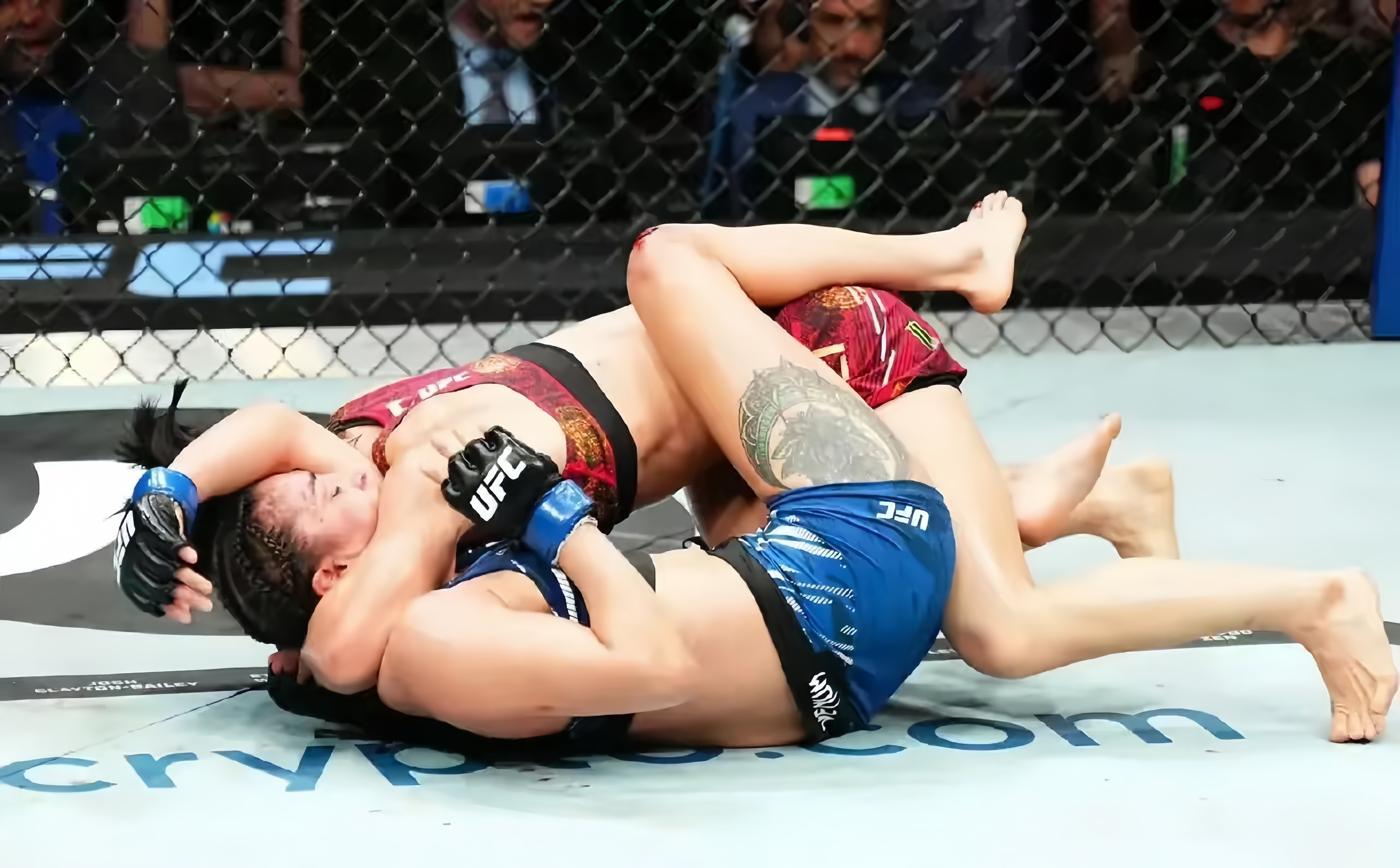 开云官网-德国队绝杀波兰队，张本智和统治全场